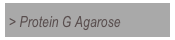 > Protein G Agarose
