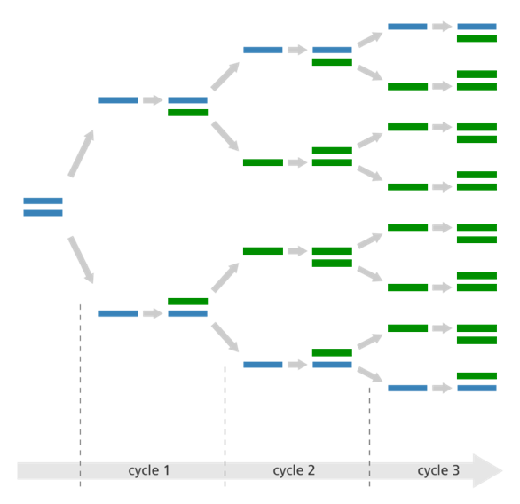 End Point Pcr Graph MB-End Point PCR GREEN LINE