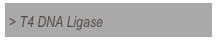 > T4 DNA Ligase