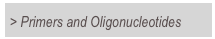 > Primers and Oligonucleotides