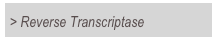 > Reverse Transcriptase