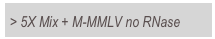 > 5X Mix + M-MMLV no RNase