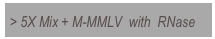 > 5X Mix + M-MMLV  with  RNase