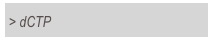 > dCTP 