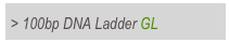> 100bp DNA Ladder GL