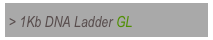 > 1Kb DNA Ladder GL
