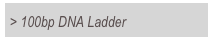 > 100bp DNA Ladder