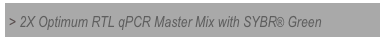 > 2X Optimum RTL qPCR Master Mix with SYBR® Green