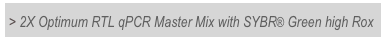> 2X Optimum RTL qPCR Master Mix with SYBR® Green high Rox