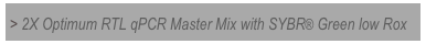 > 2X Optimum RTL qPCR Master Mix with SYBR® Green low Rox