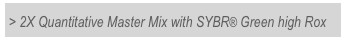 > 2X Quantitative Master Mix with SYBR® Green high Rox