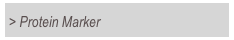 > Protein Marker 