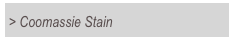 > Coomassie Stain